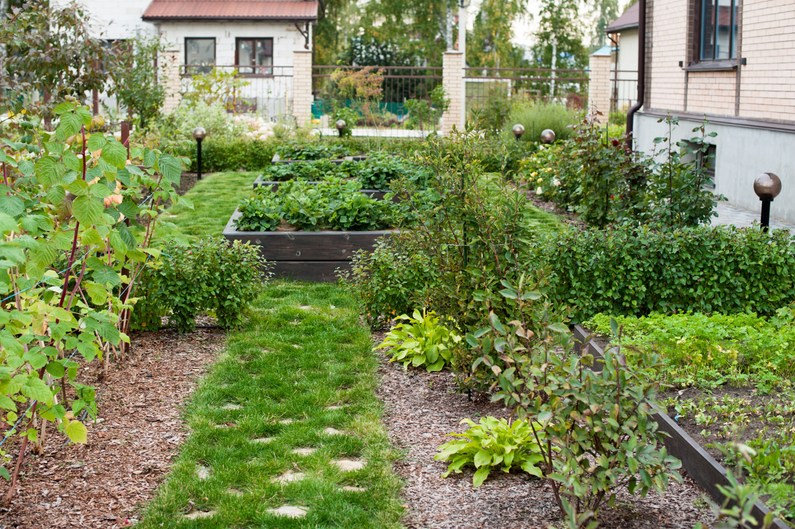 Сад На мажорной ноте