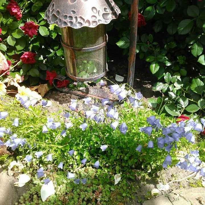 Ландшафт в пейзажном стиле с плавательным прудом 12 соток