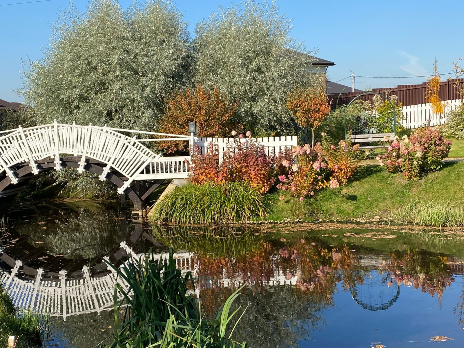 Обложка проекта: Мосты над рекой