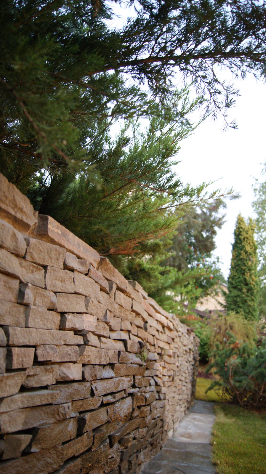 Наталия Васильева