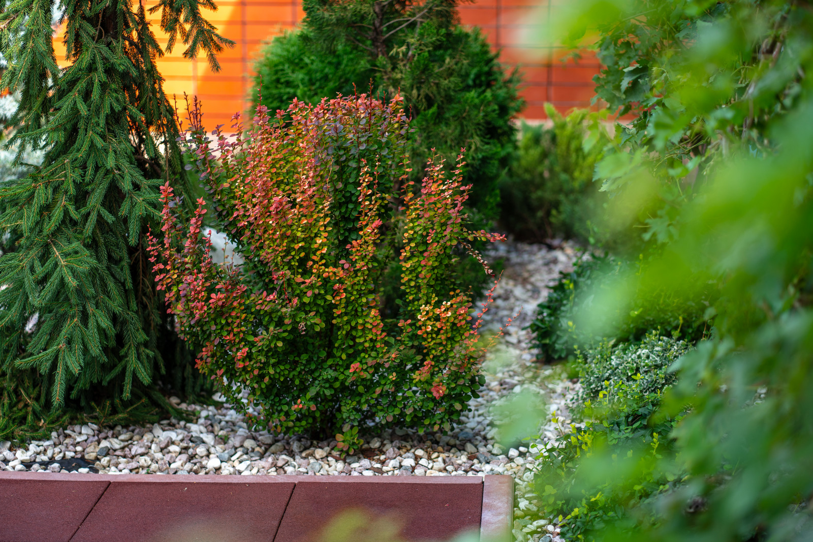 "Цветущий райский сад"