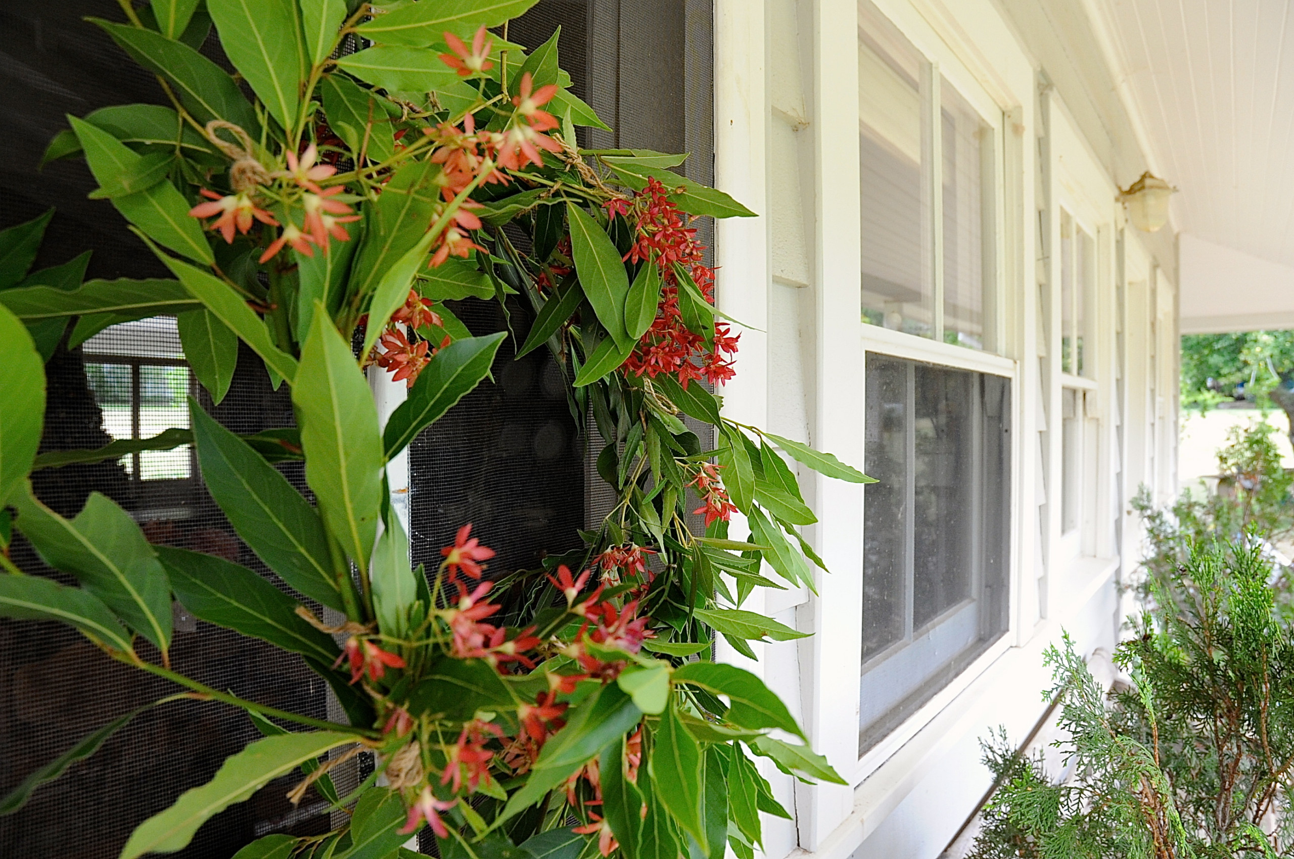 Фотоохота: 65 идей как сделать новогодний венок своими руками