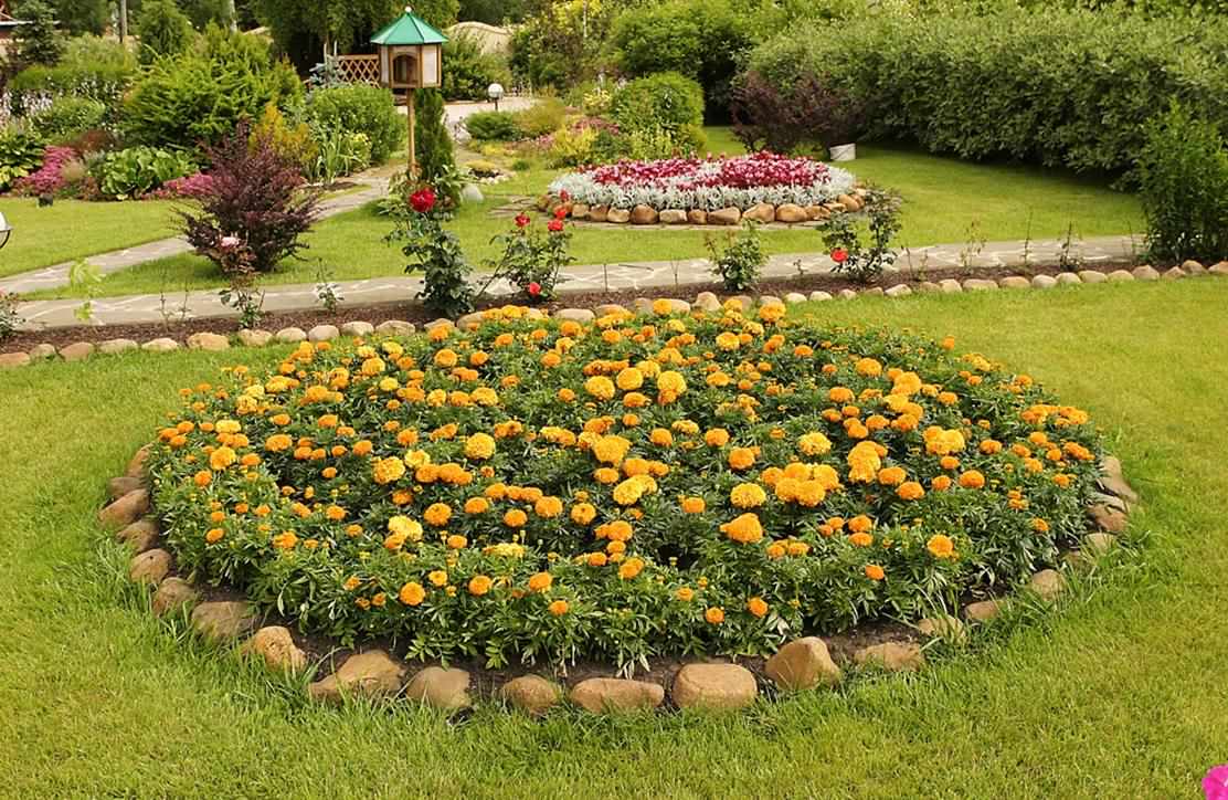 Клумбы и рабатка