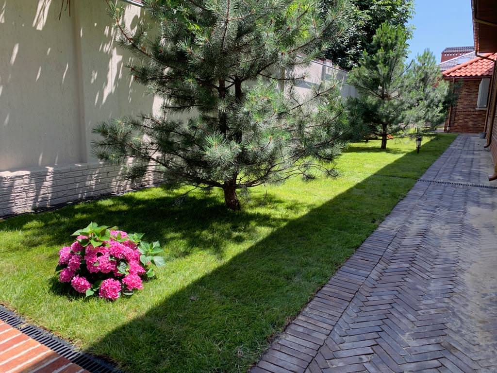 Ландшафт участка г. Ростов-на-Дону