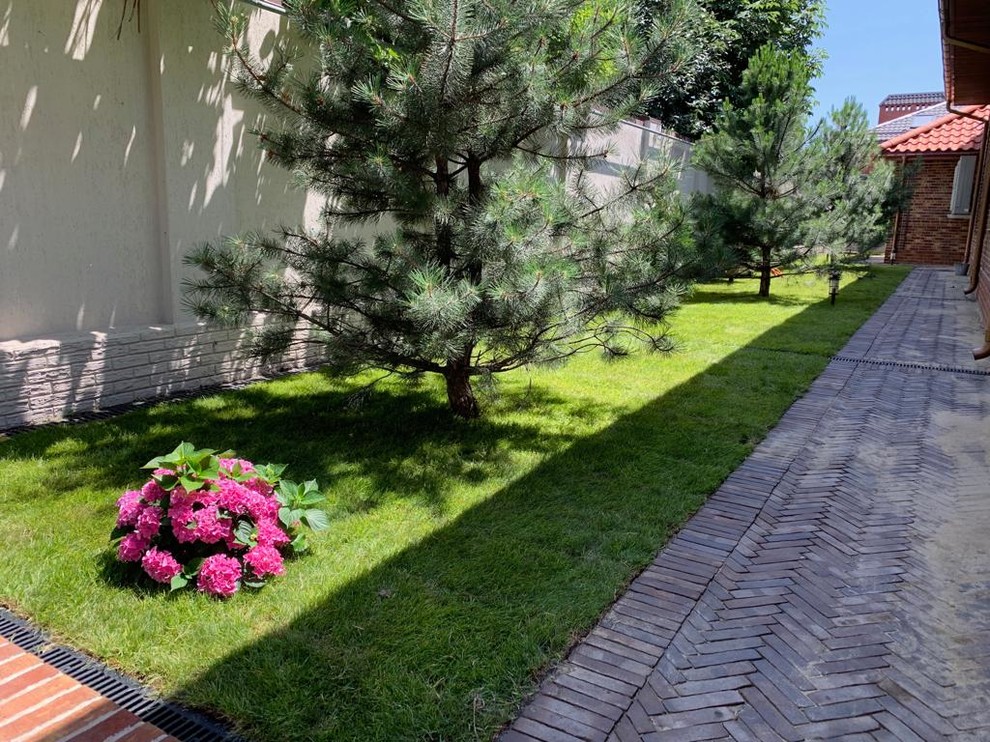 Ландшафт участка г. Ростов-на-Дону