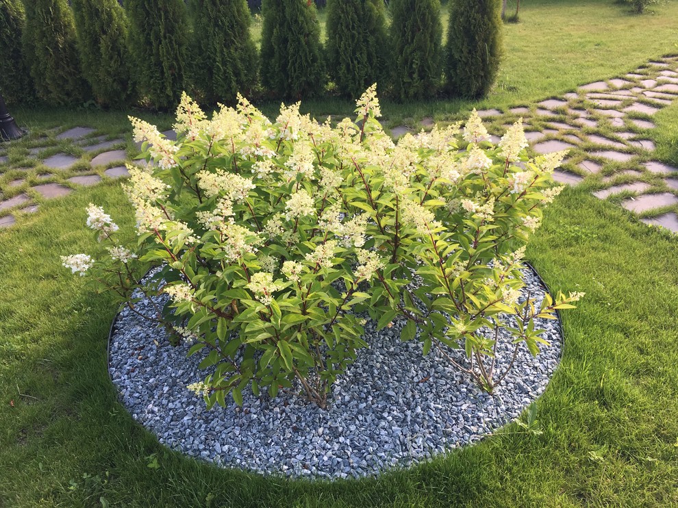 Ландшафтный дизайн сада в поселке "Олимп"