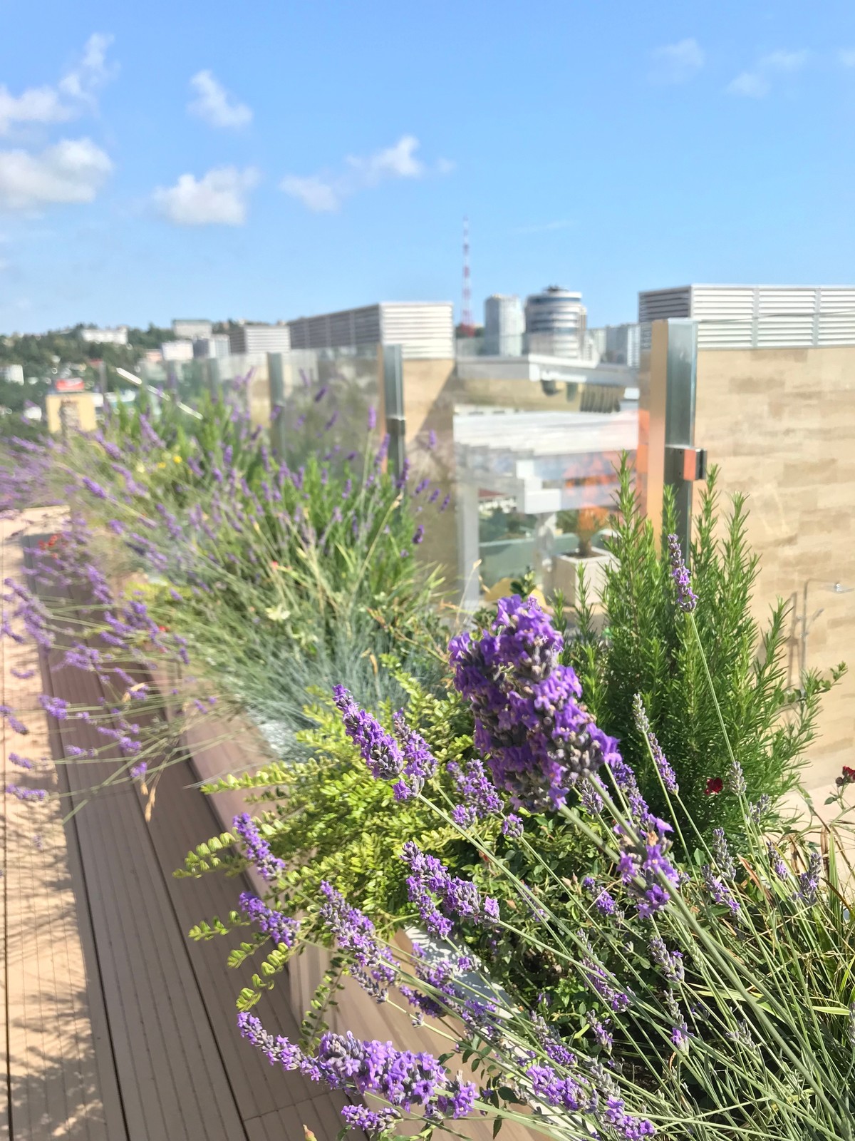 Пентхаус в Сочи