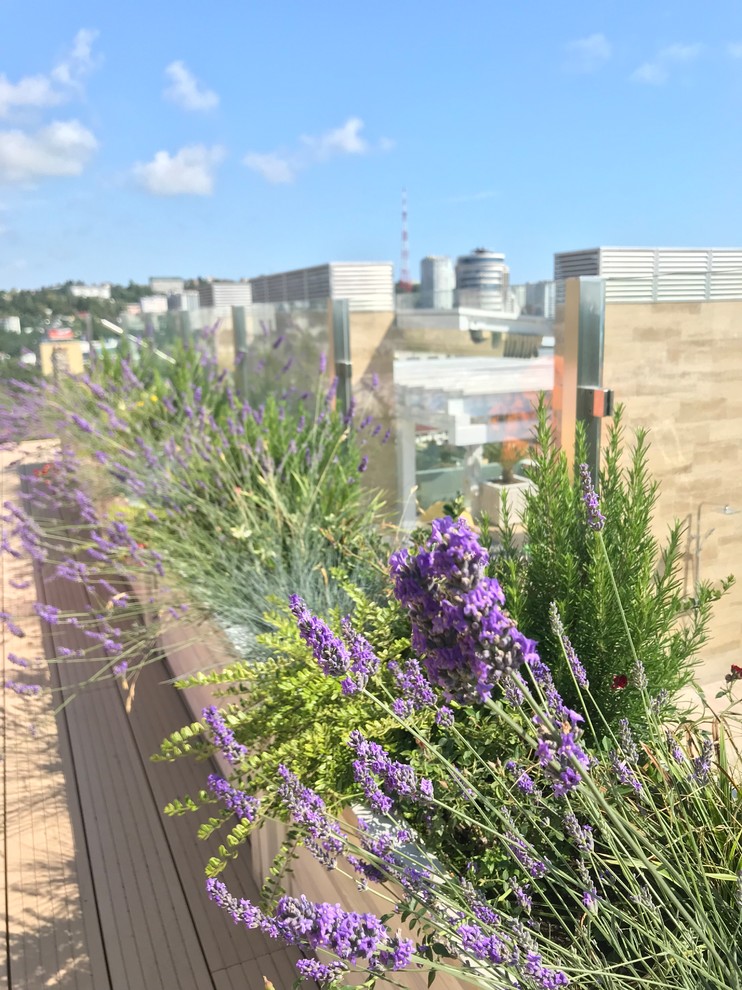 Пентхаус в Сочи