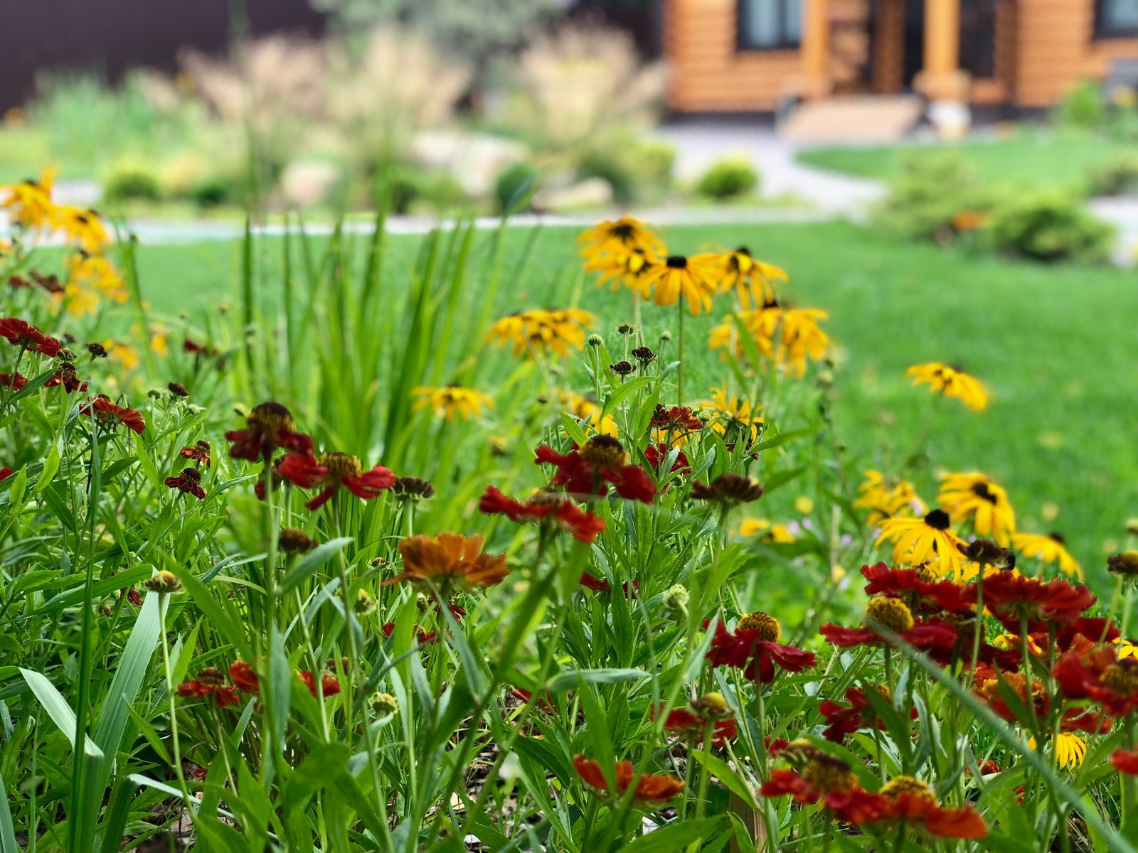 Русские Забавы