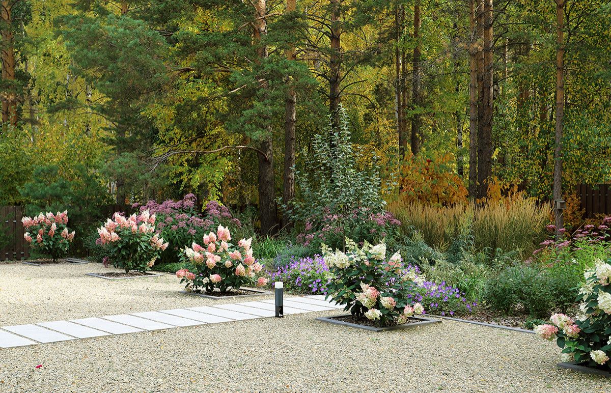 Сад у тёмных бревен