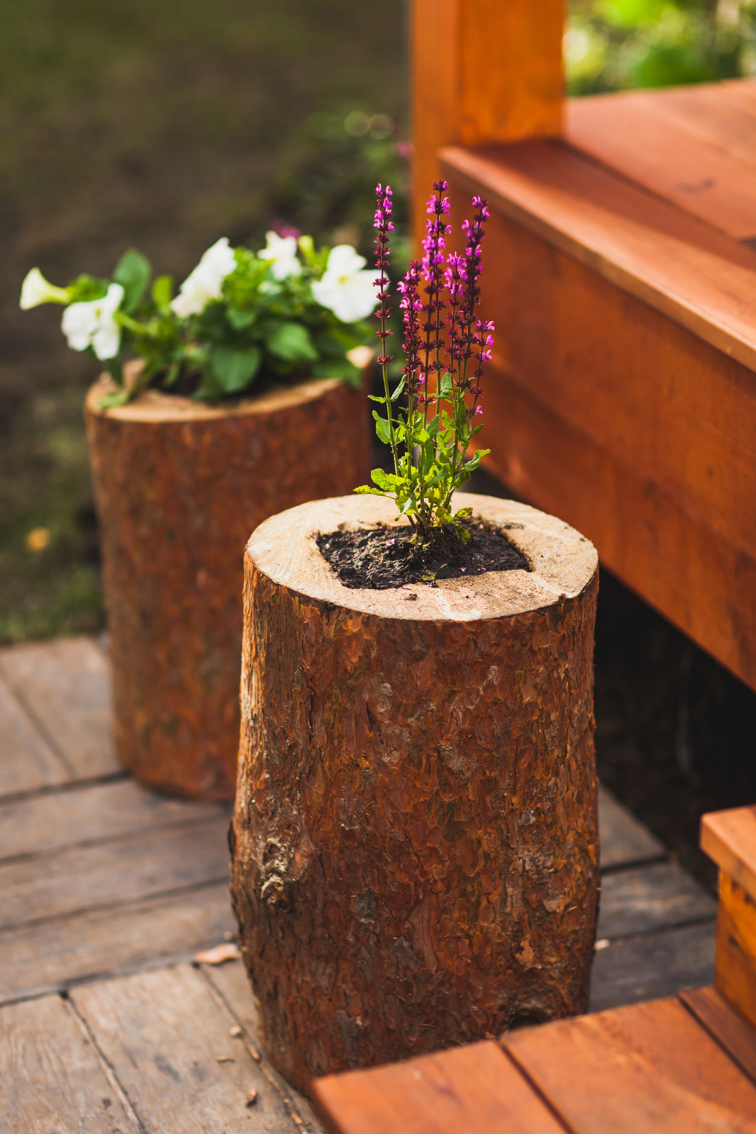 Ландшафтный дизайн для актрисы Татьяны Лютаевой