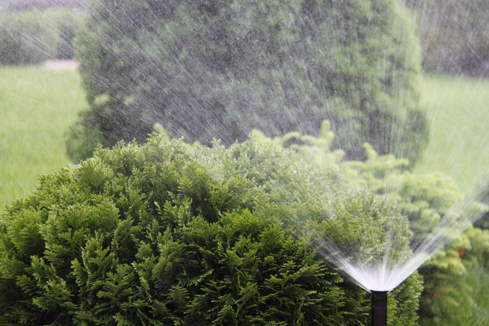 БЕЗУПРЕЧНЫЙ ЛАНДШАФТНЫЙ ДИЗАЙН ПОД КЛЮЧ.