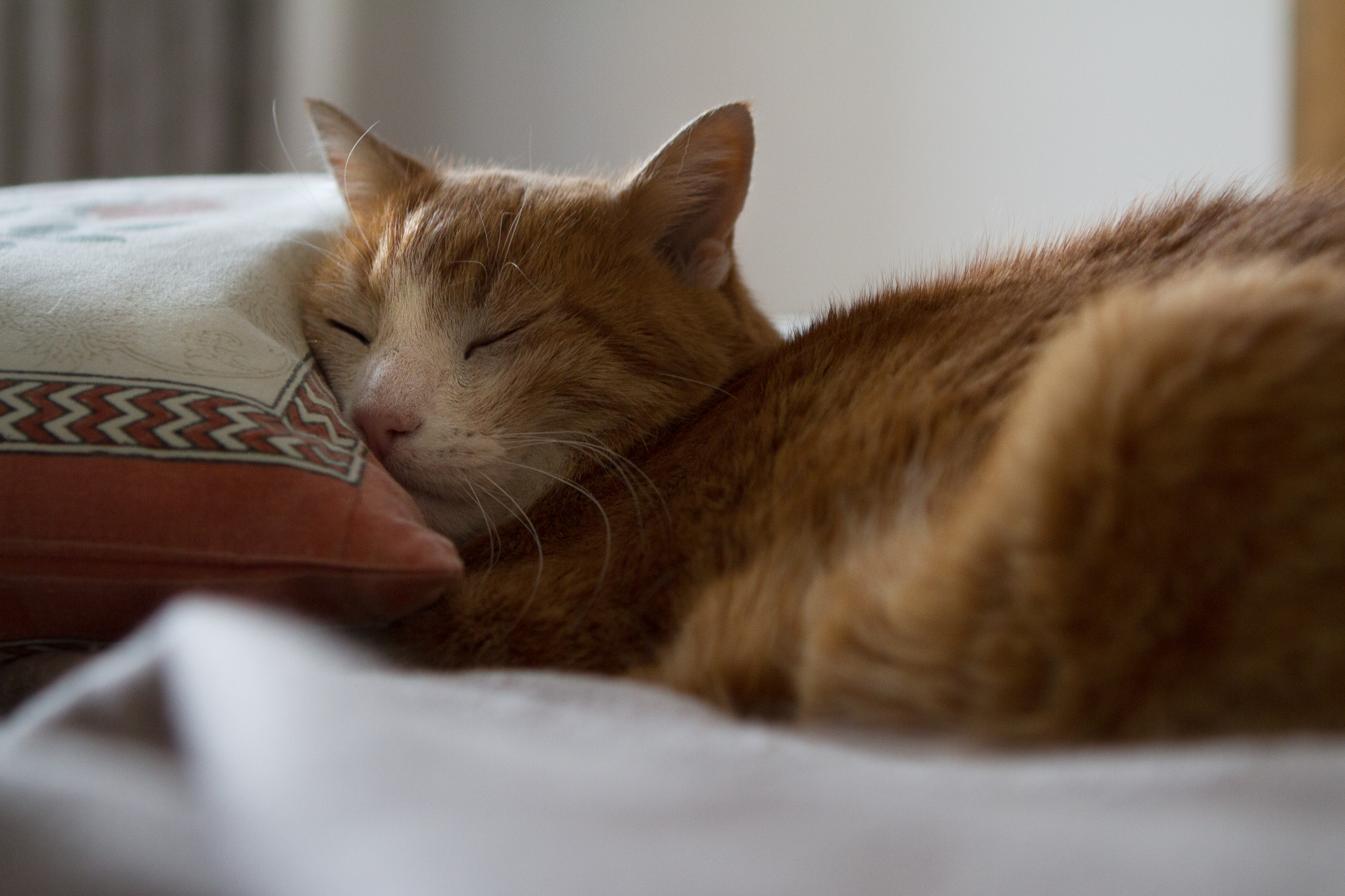 Большая квартира — повод отдалиться друг от друга?