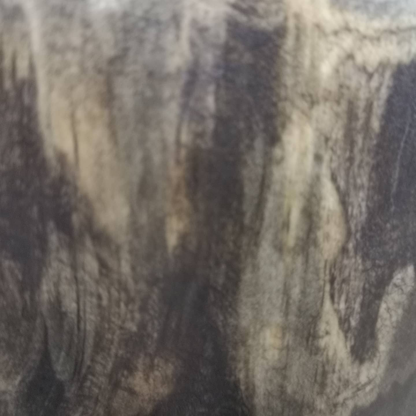 Unnamed Photo