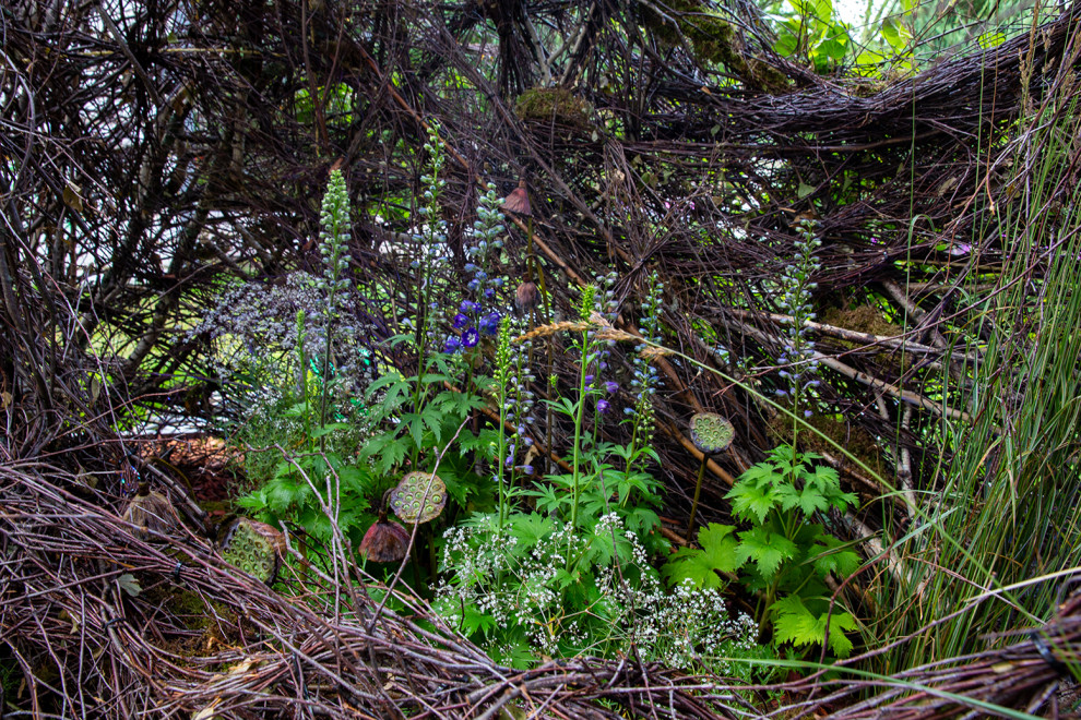 Фотосъемка Сада   по  Метрелинку на MFS 2019 Авторы М,Береснева М. ПРИНТЦ
