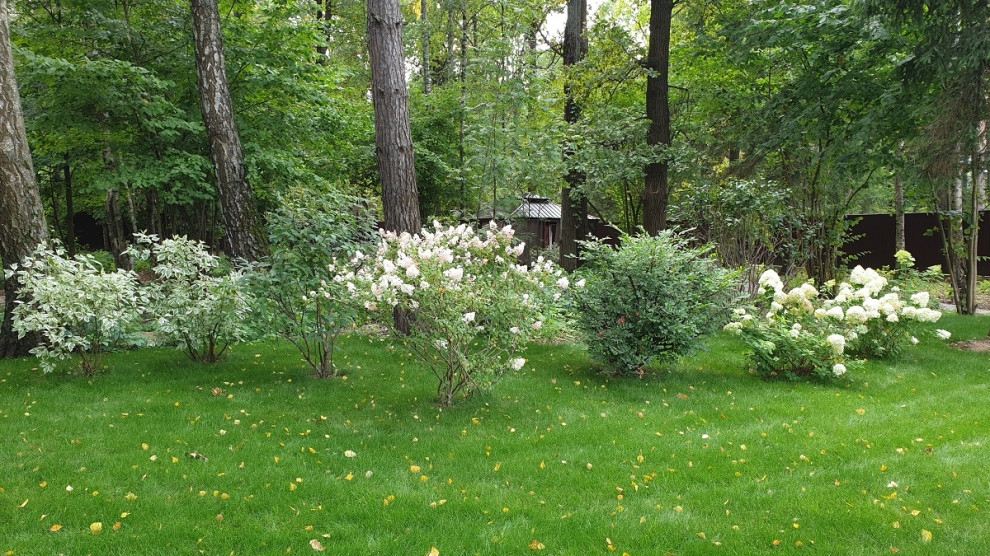 Теневой сад в Новогорске.