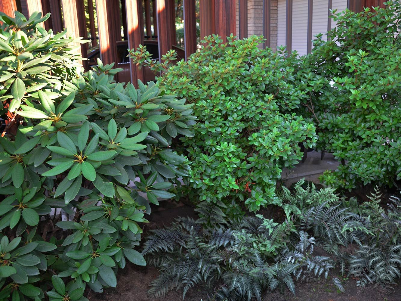 Современный сад в КП "Бенилюкс" вилла 2