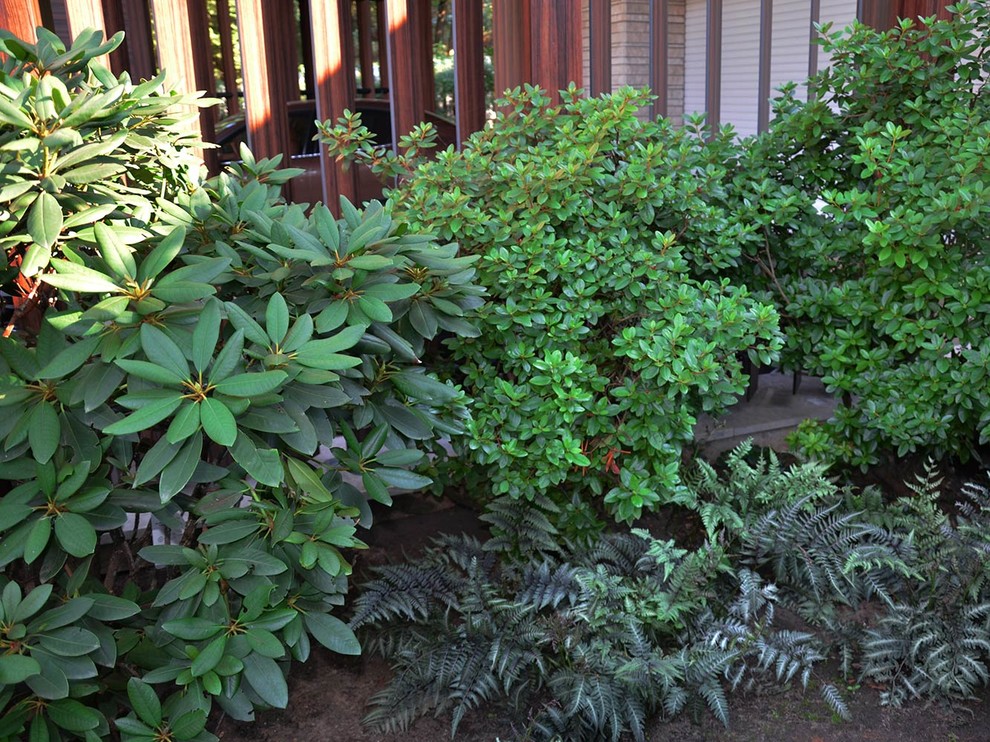 Современный сад в КП "Бенилюкс" вилла 2