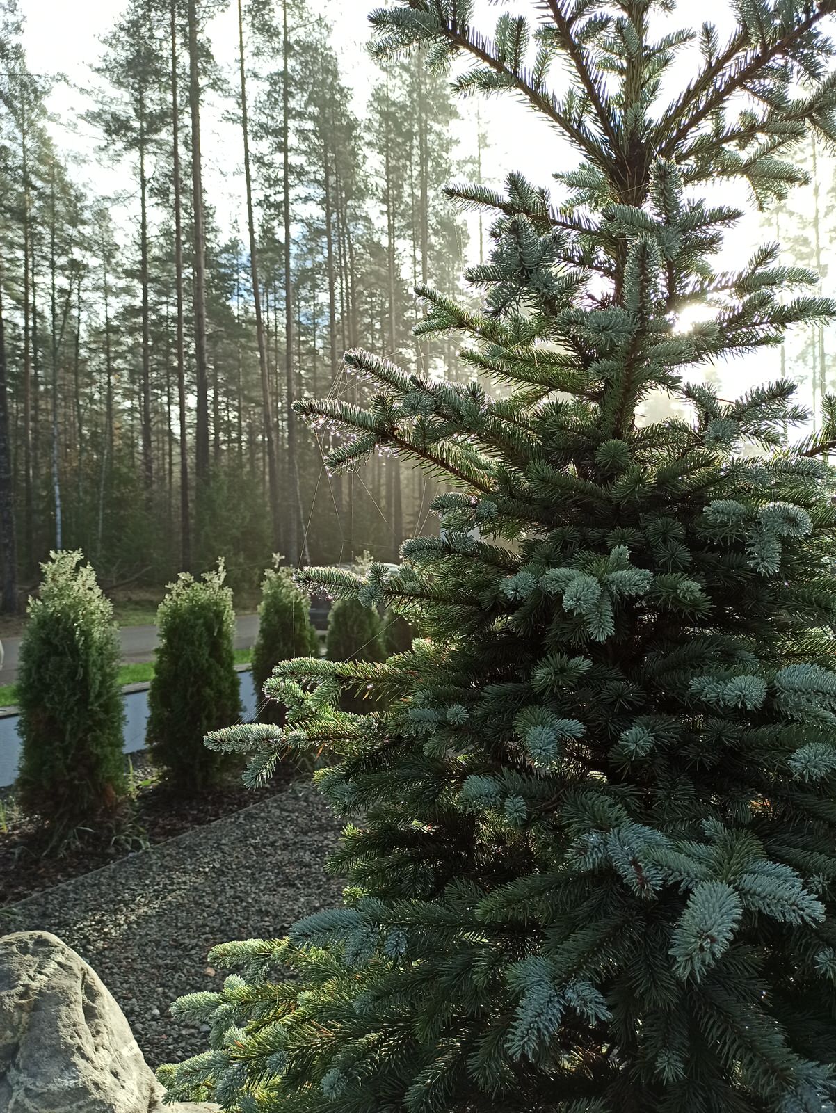 Ленинское-Репино