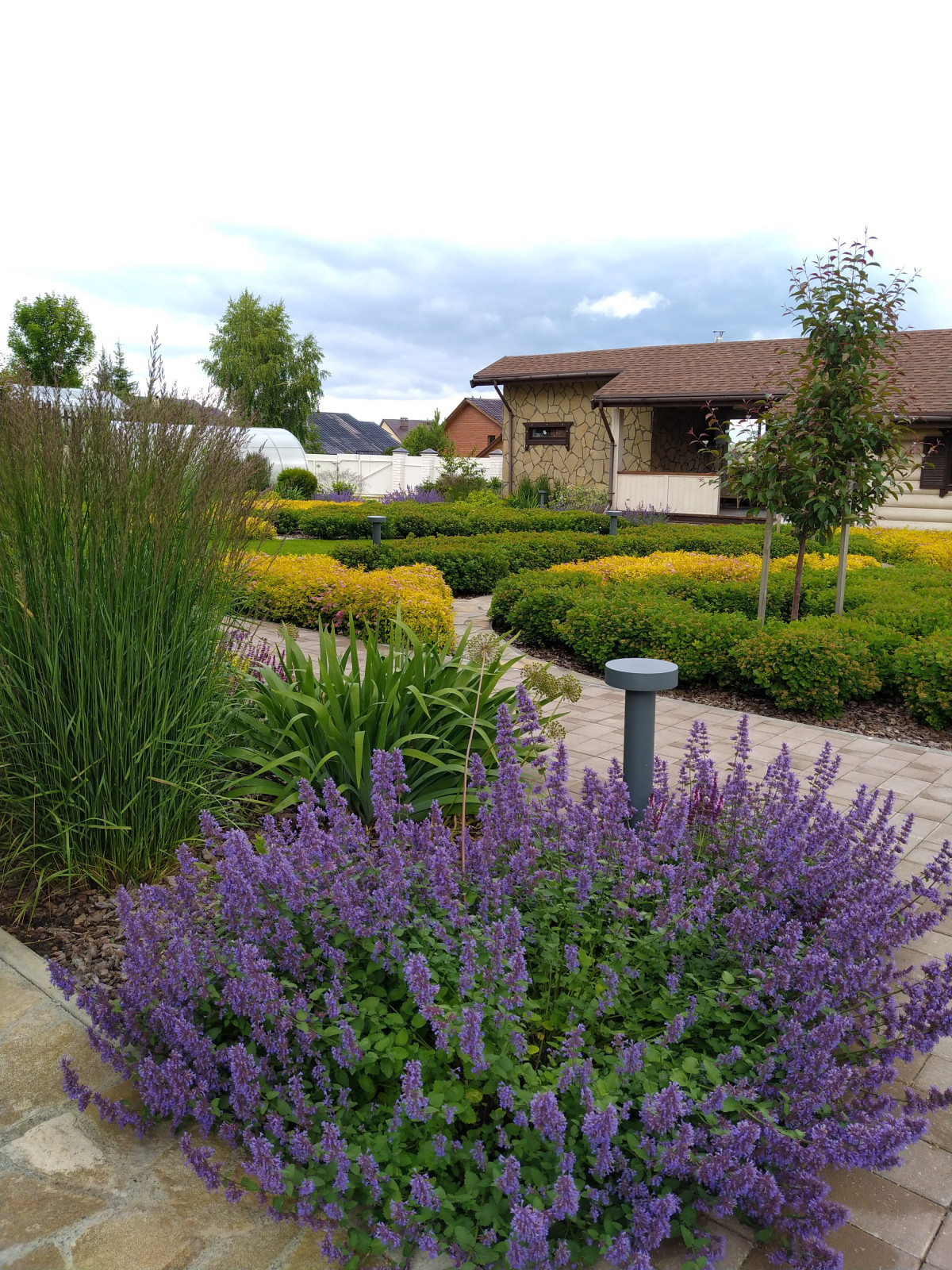 Токарево15 соток,