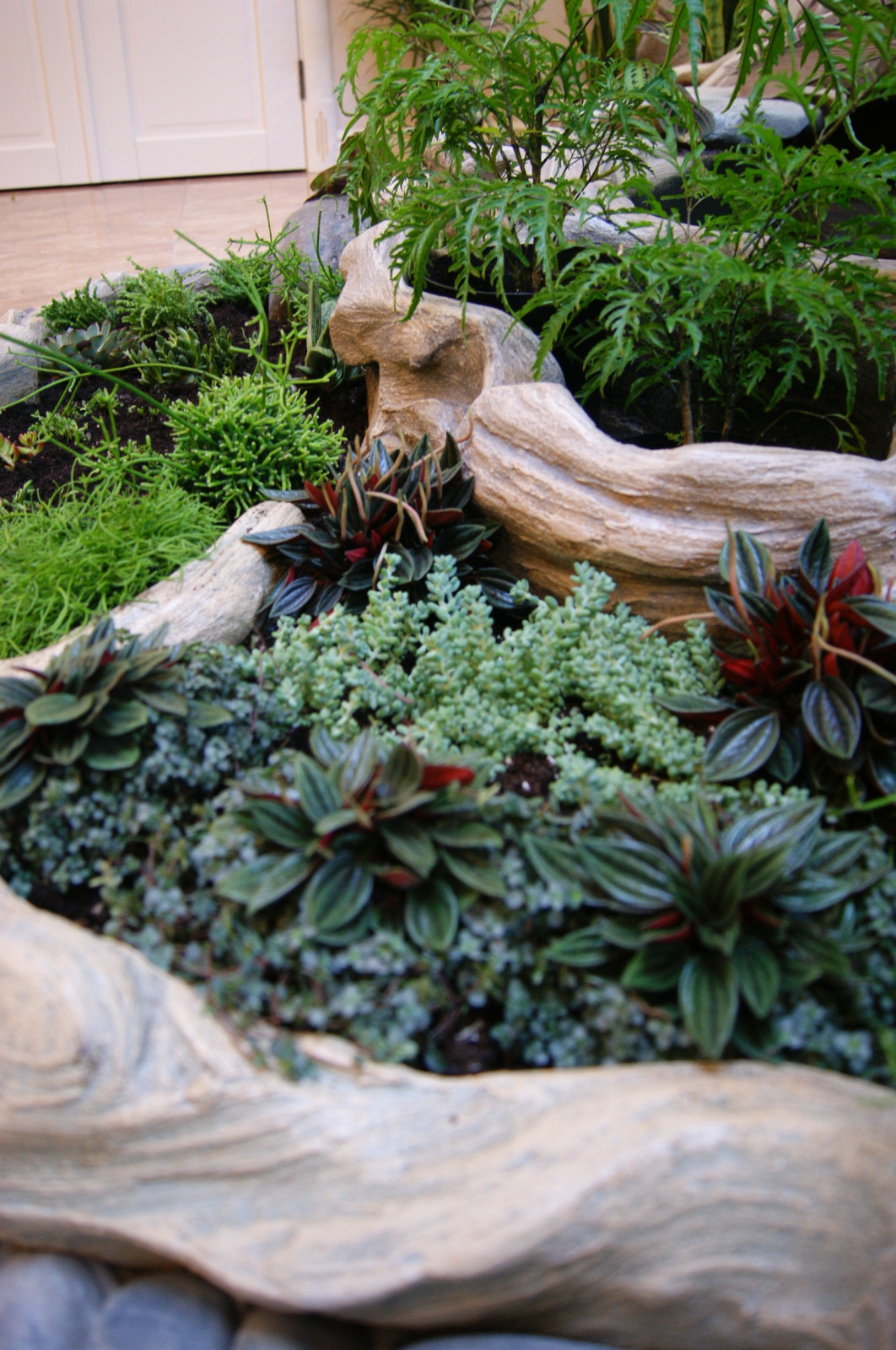 Зимний сад "Атриум"