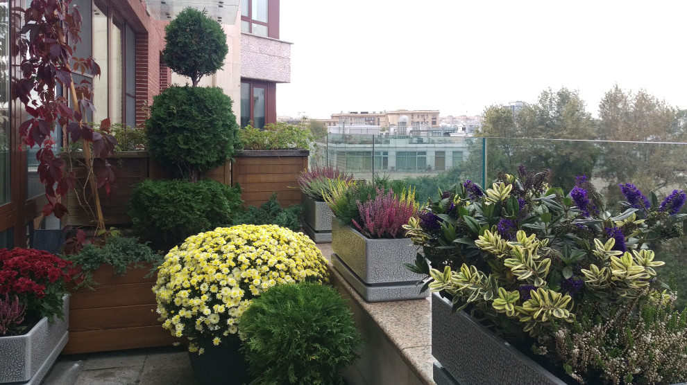 Сад на балконе