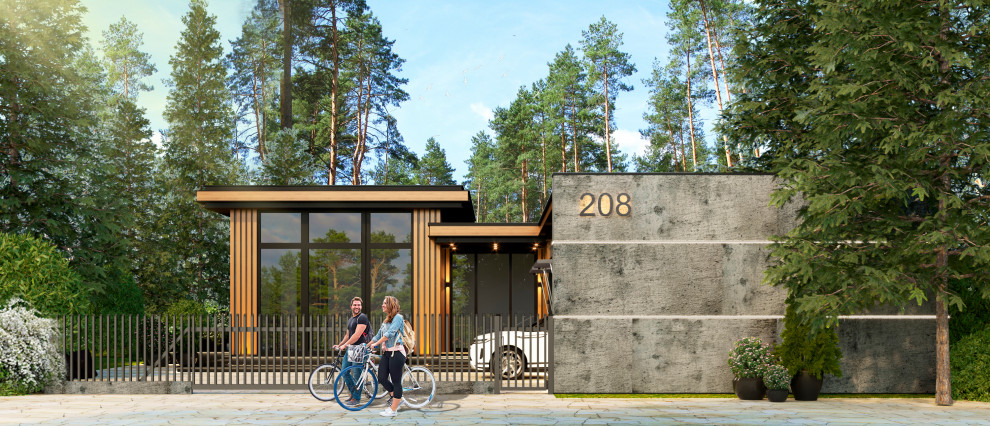 Концепт загородного дома