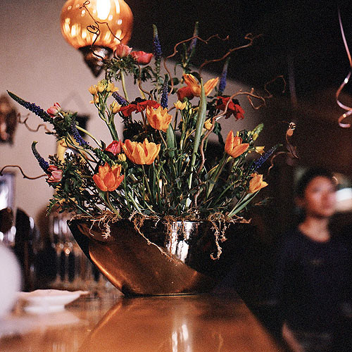 Фитодизайн интерьера