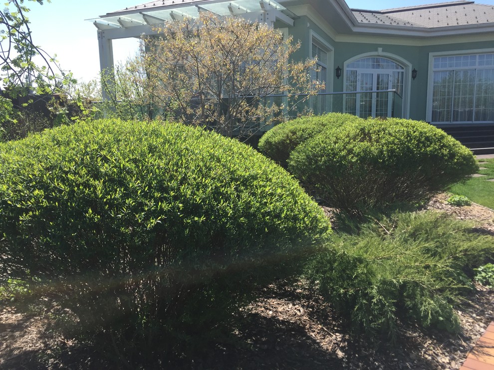 Холодное лето 2017 (сад "Игра в лабиринт")