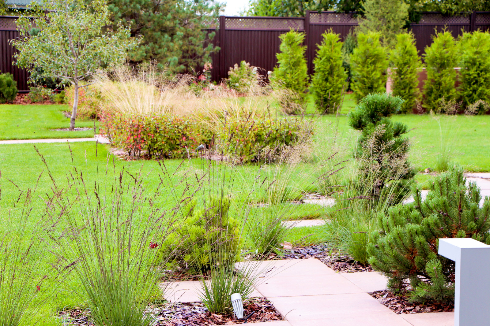 Петровское, 2018-2020 гг.