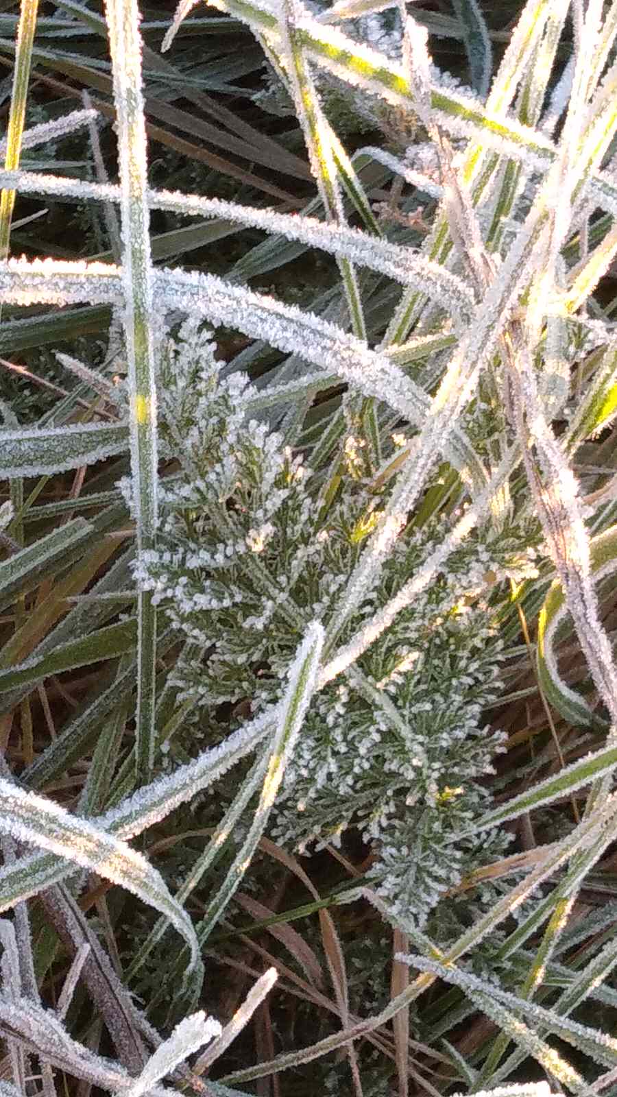 Фотокартина