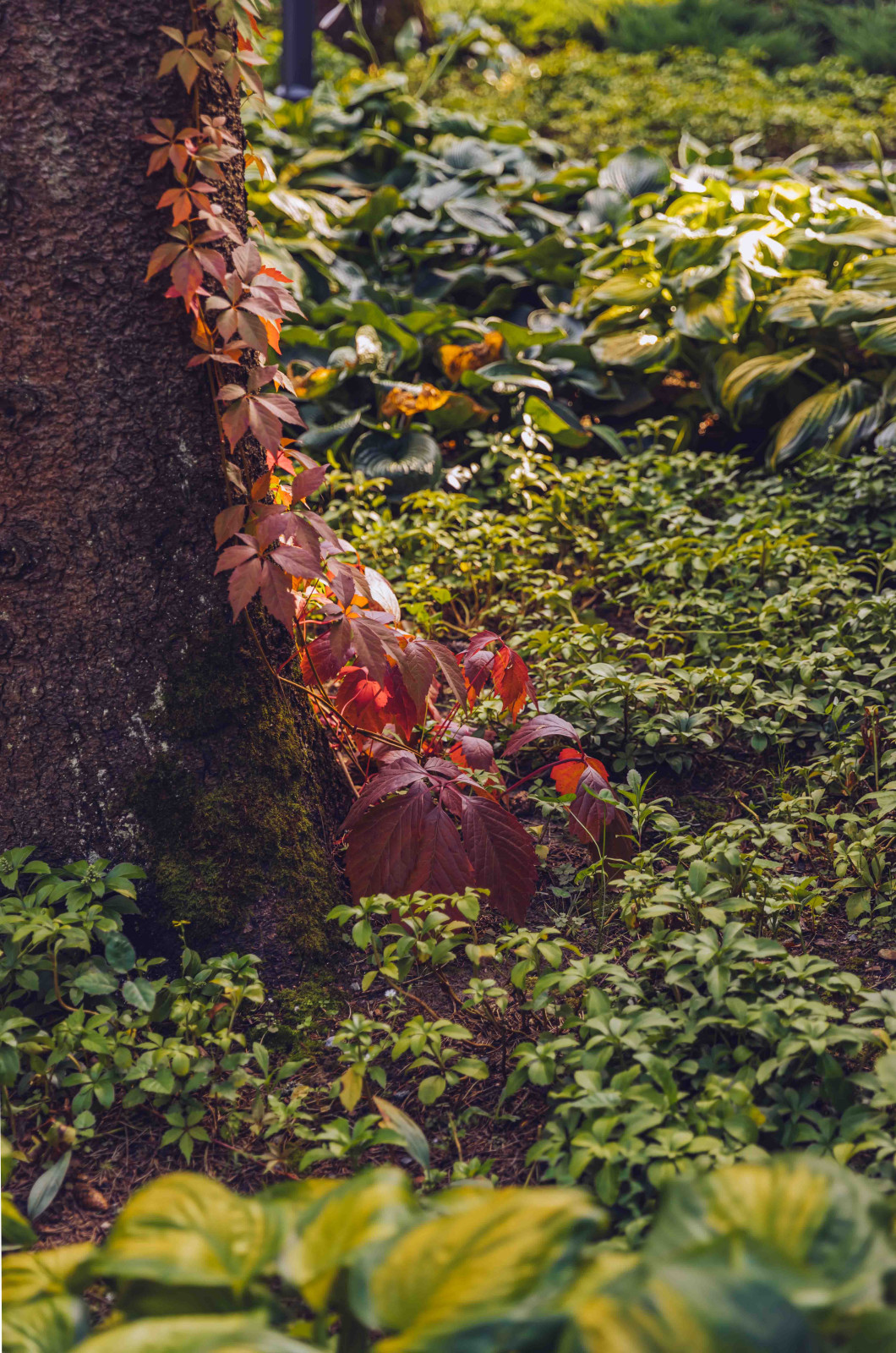 Архитектурное Решение в Пейзажном Стиле