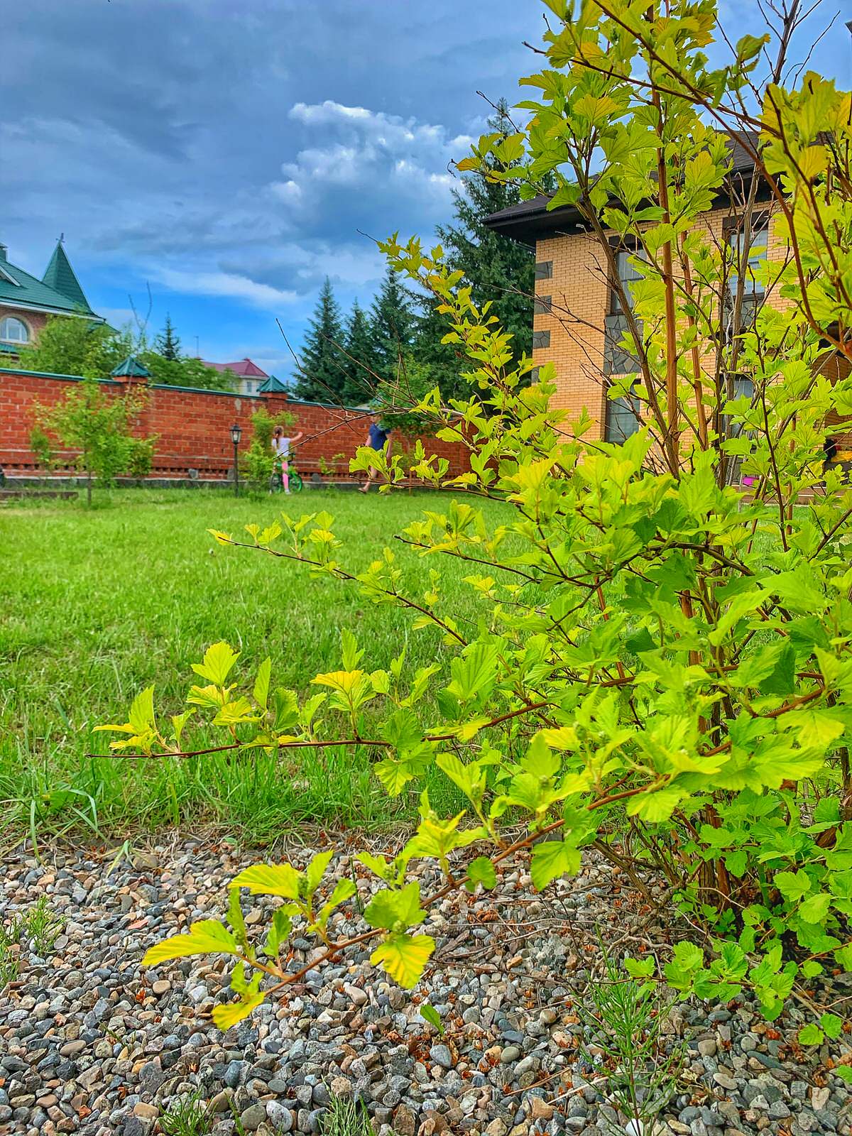 Ландшафтный дизайн в п. Молодёжный (Иркутск)