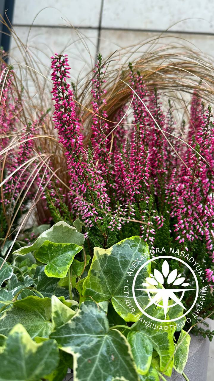 Осеннее оформление