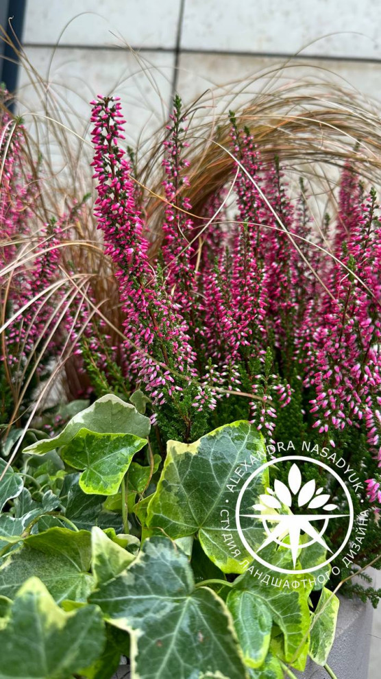 Осеннее оформление