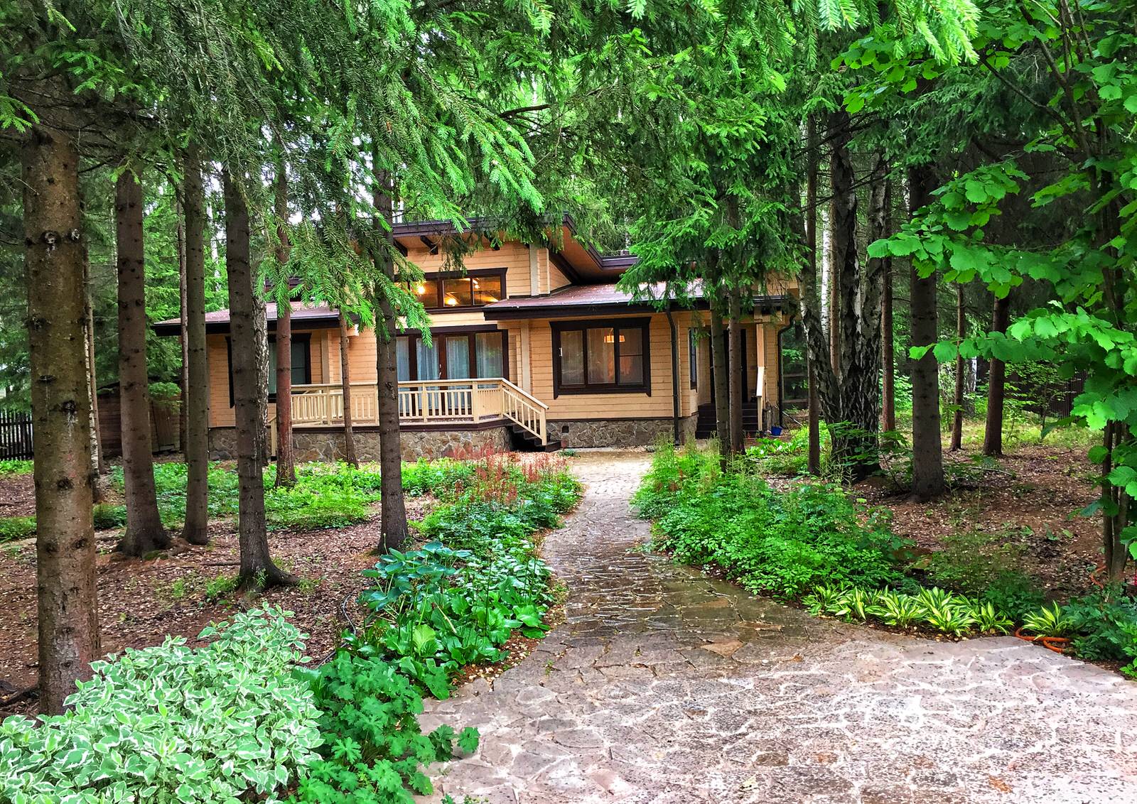 Обложка проекта: Лесной участок в Подмосковье