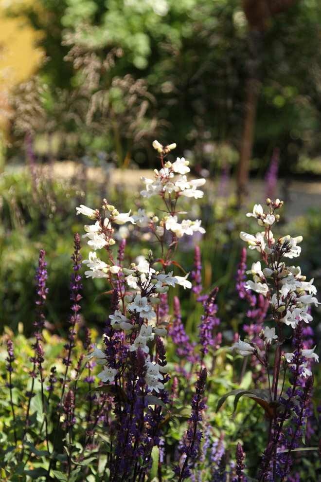 Выставочный сад "Азбука сада"