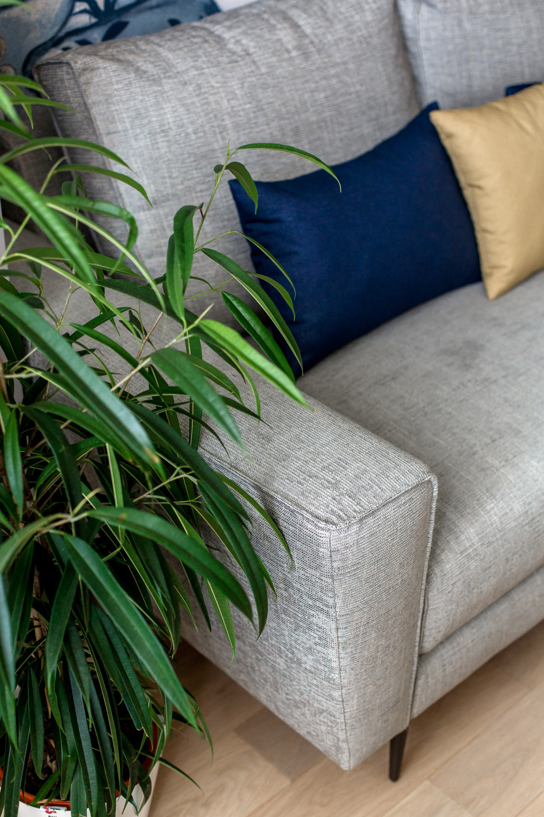 Минимализм в цвете