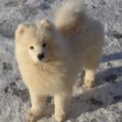 Алия Буятова