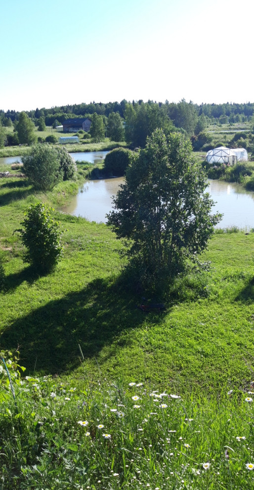 Пермакультурная личная усадьба.