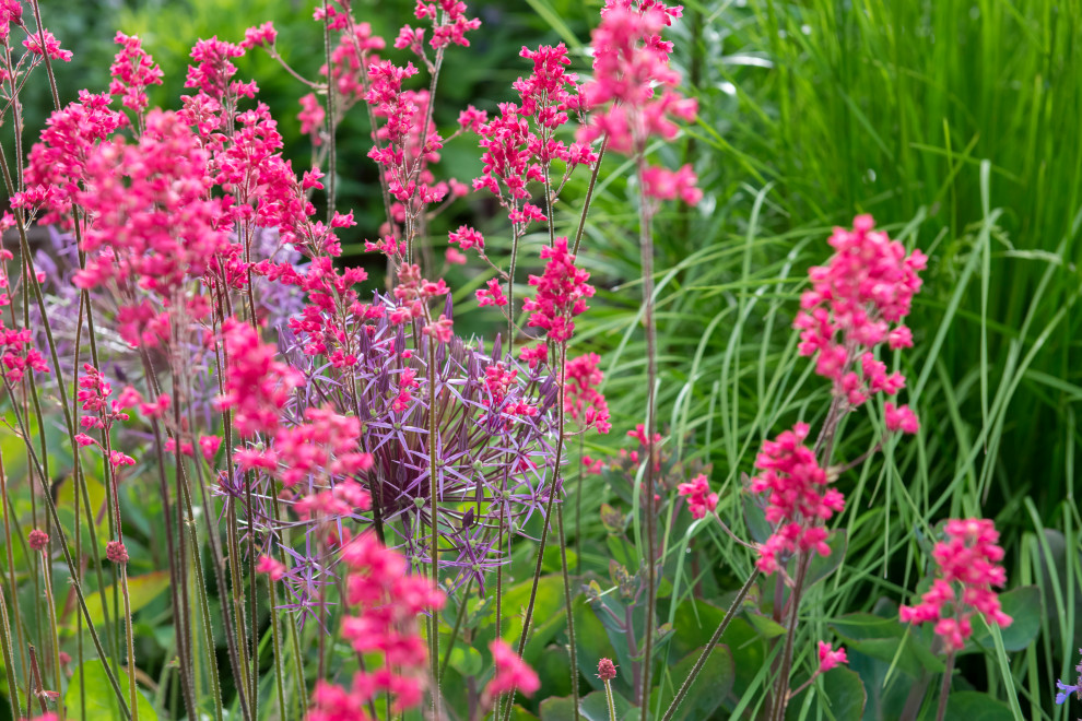 Многолетники