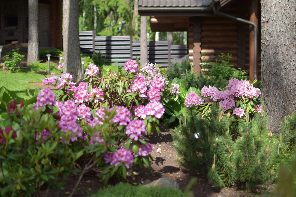 Сад в Карельском лесу