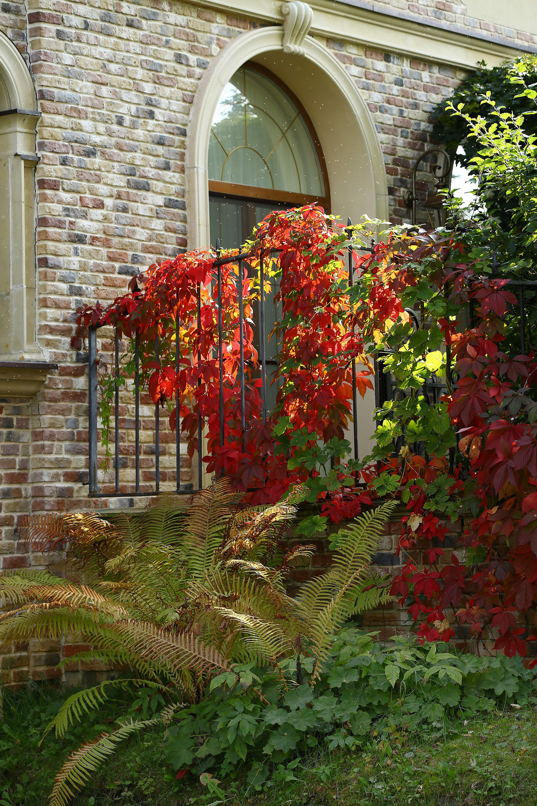 Усадьба Ореховно, Псковская область