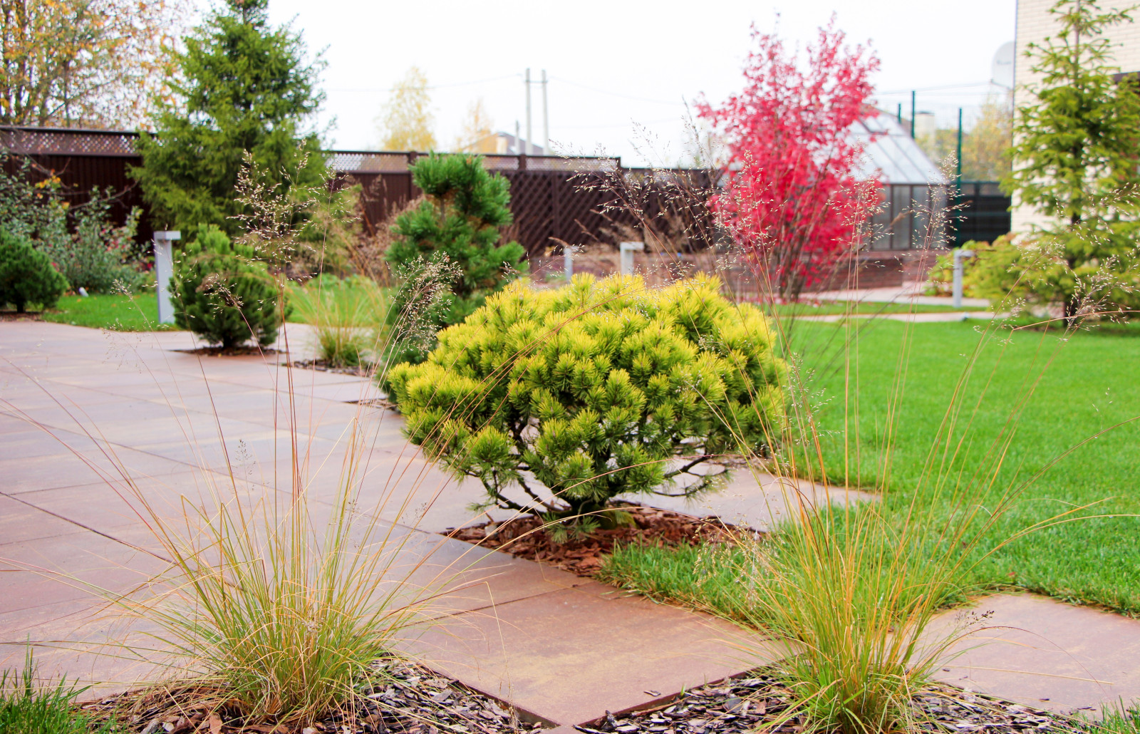 Петровское, 2018-2020 гг.