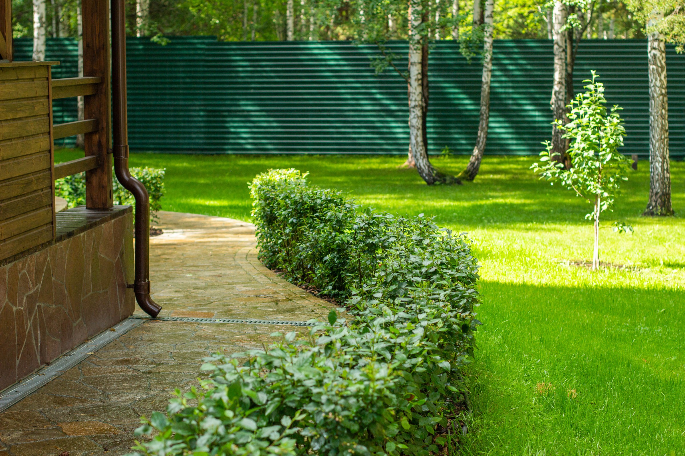 У леса на опушке