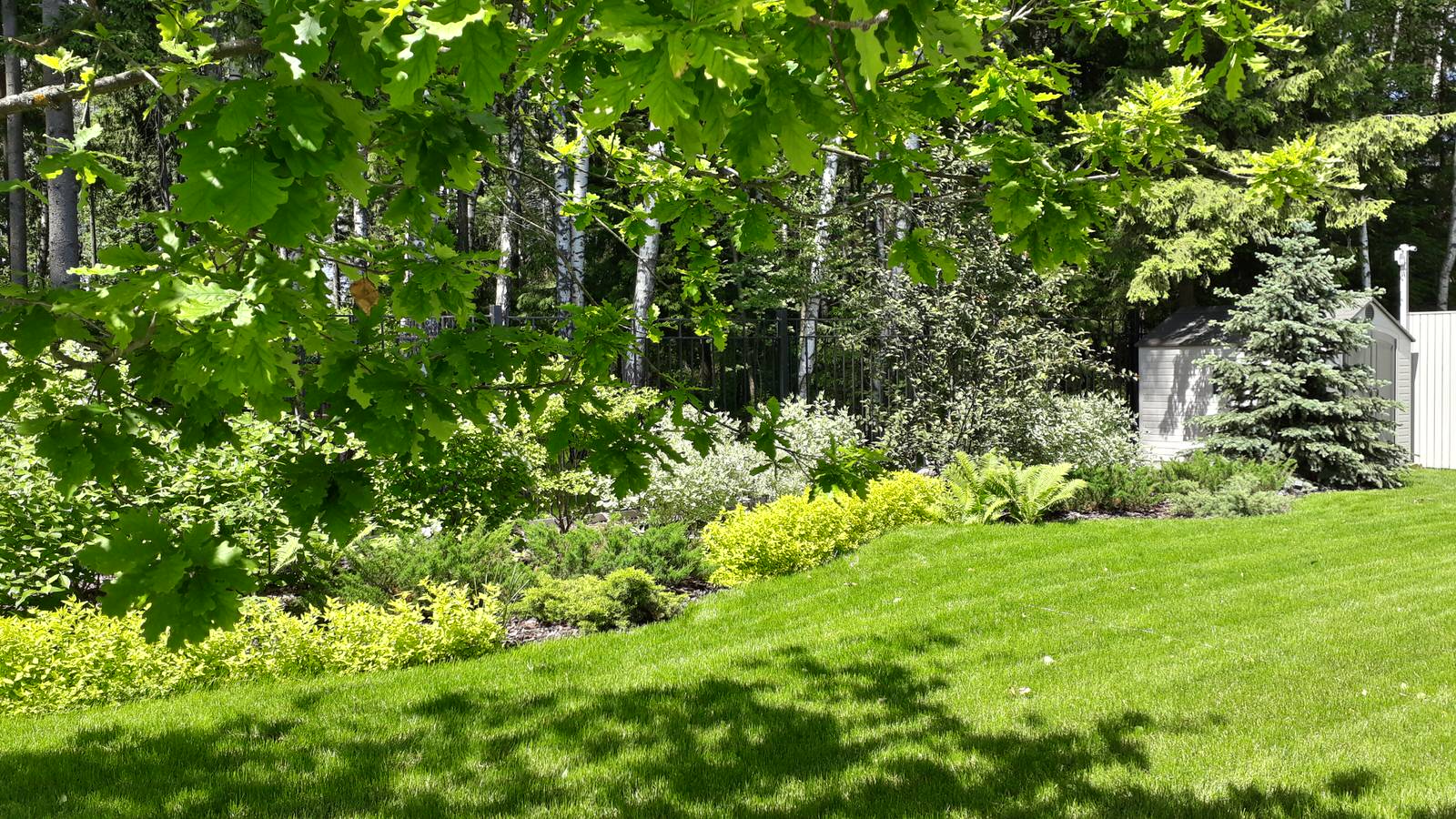 Графские пруды