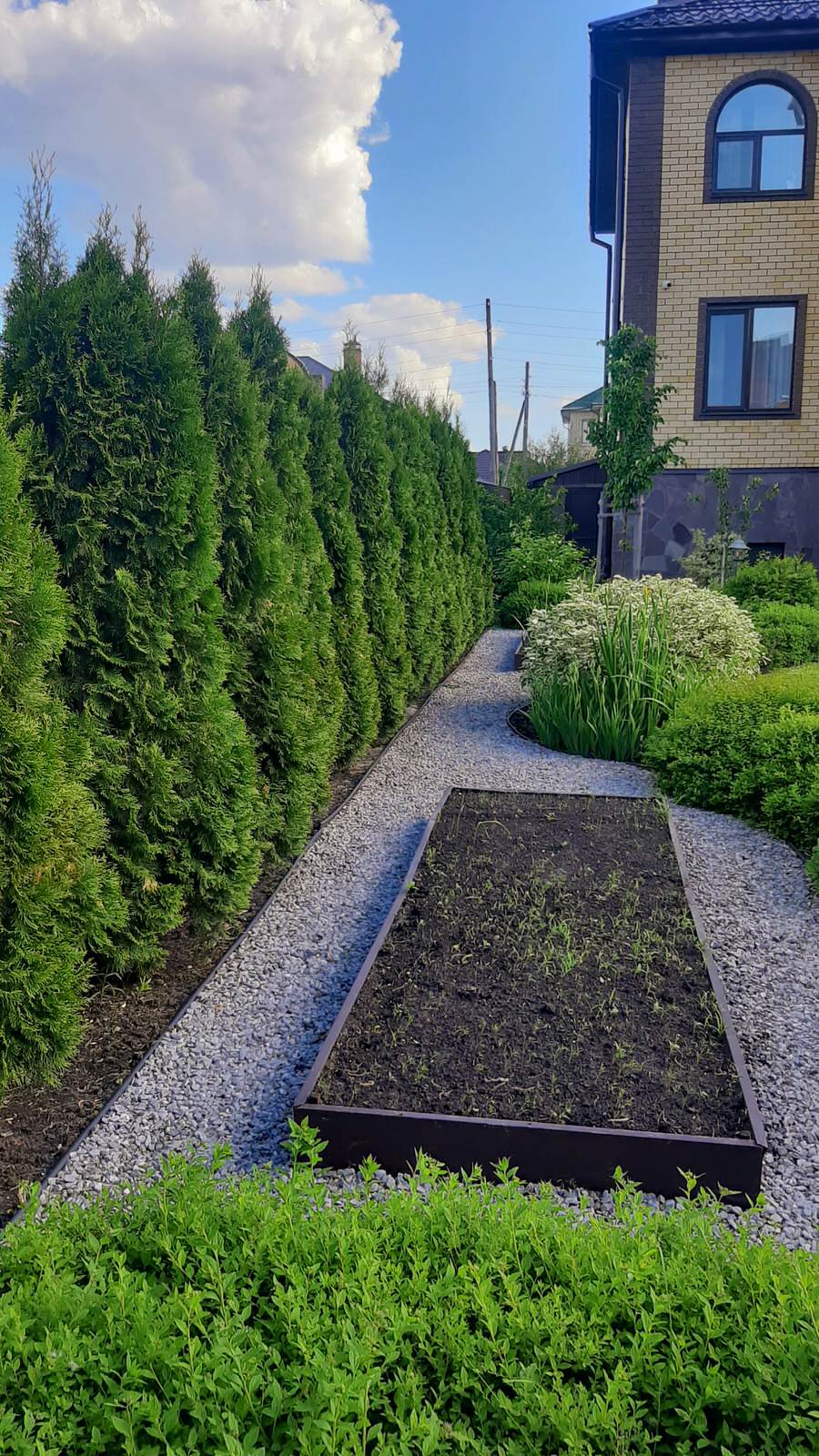 Андреевское озеро, 2017