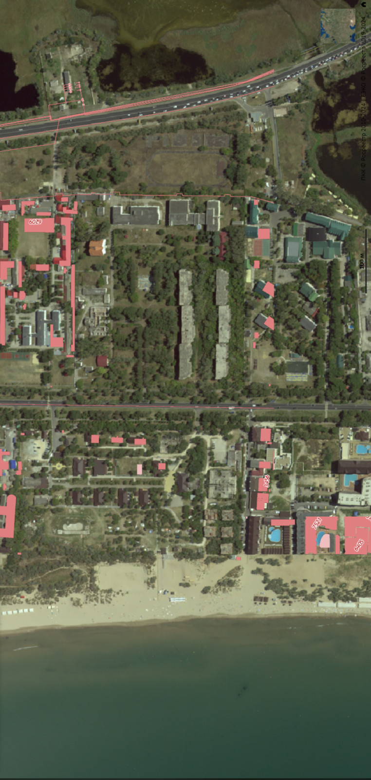 Елена Христова