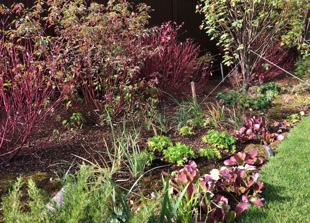 Усадьба на краю леса