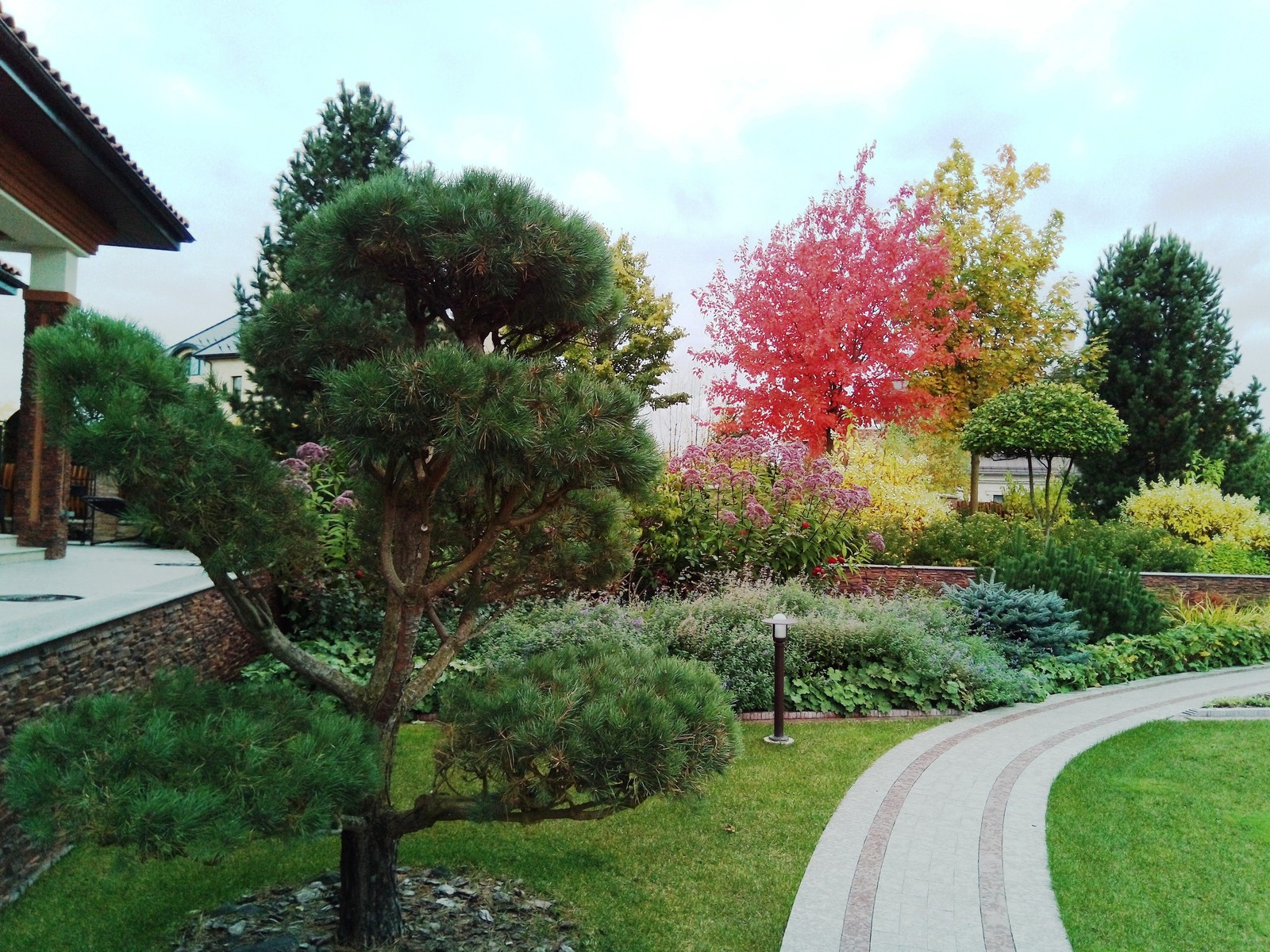 кп "Милениум" - Профессиональный уход за садом - 100% качество!